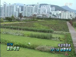 옥상녹화로 13℃나 내렸어요 [KTV 열린세상]