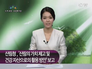 산림청, '산림의 가치제고 및 건강자산으로의 활용 방안' 보고