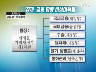 김정일 사망···'의연한 한국 경제'