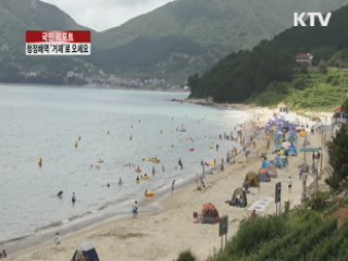 청정해역 '거제'로 오세요 [국민리포트]