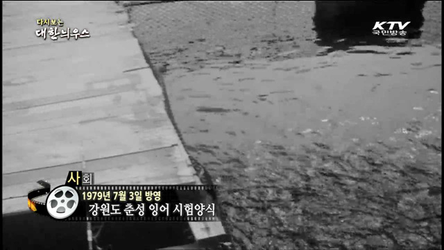 다시보는 대한늬우스 (79.07.03) 이미지