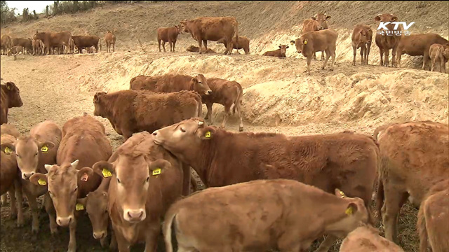 '들녘경영체' 활용해 농업의 규모화 추진