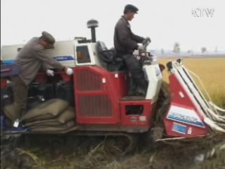 FAO "北 올해 곡물수확 다소 늘어"