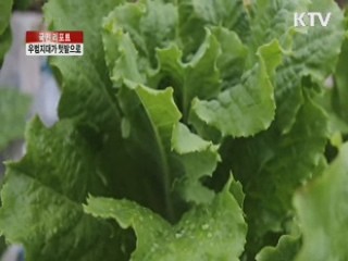 우범지대가 '사랑의 텃밭'으로 [국민리포트]