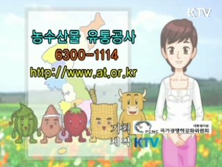 농업 경쟁력 강화 방안