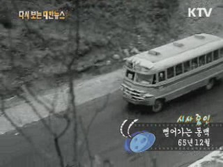 뻗어가는 동맥(65') 이미지