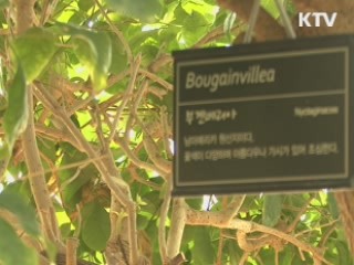 대전시, 열대식물원 개원