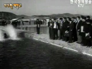 담수어 양식 강습회(`71) 이미지