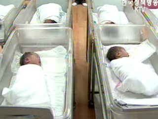 일·육아 병행사회적 여건 절실