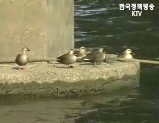 다음 달 중순까지 매서운 한파 없어