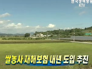 쌀농사 재해보험 내년 도입 추진