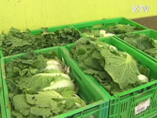 "올해 김장철 채소류 안정적 수급 전망"