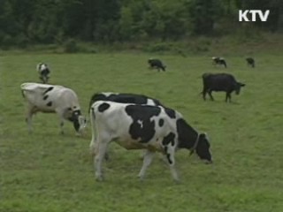 방미 현지 조사단 "비정형 BSE 확인"