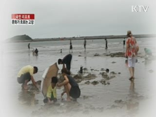 역사와 문화가 흐르는 고창 [국민리포트]