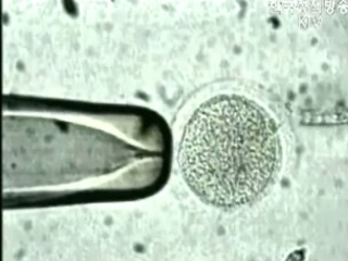국가 생명자원 관리 청사진 만든다