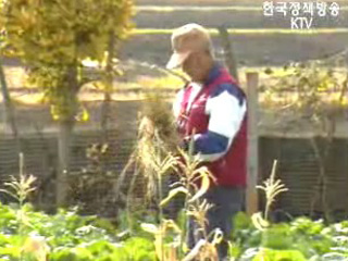 장수 하려면 ‘소식·금연·금주’