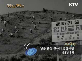 경북 안동 뒷산의 조림사업(68') 이미지