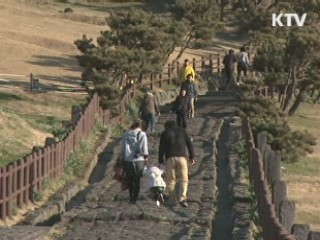 제주도의 도전, 세계 7대 자연경관 D-17