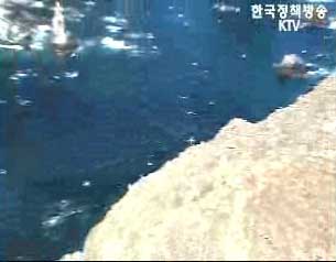 독도 지반검사 결과