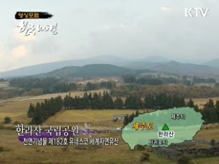 겨울의 문턱에서 - 한라산