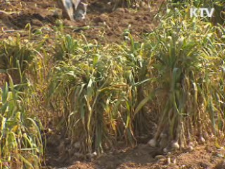 농식품부 "한중FTA 농어업 피해 최소화"