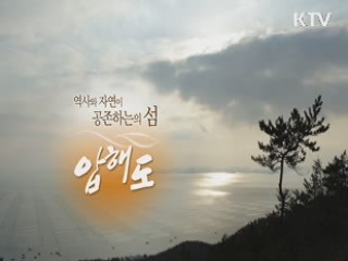 역사와 자연이 공존하는 섬 - 압해도