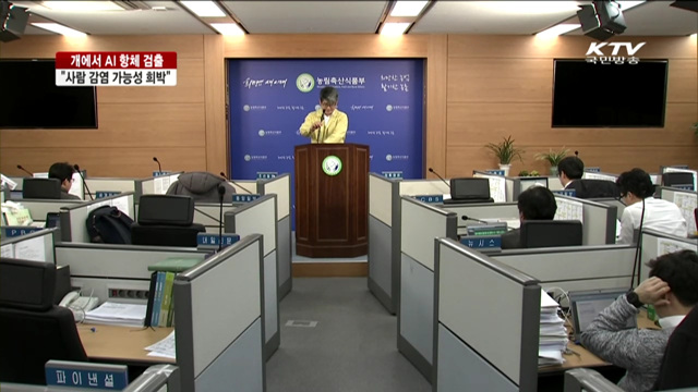 "개 접촉으로 AI 감염 가능성은 희박"