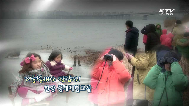 KTV 100년의 행복, 희망 대한민국 + (260회)