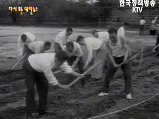 빈터에 곡식을 심자(`63) 이미지