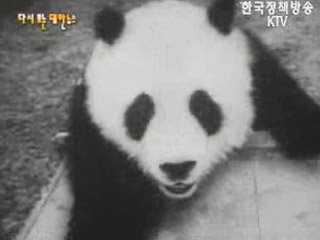 수재민에 위문품(`58) 이미지