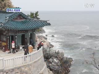 대학생들, 낙산사 나무심기 나섰다