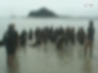 사설 '해병대캠프' 난립···안전 '구멍'