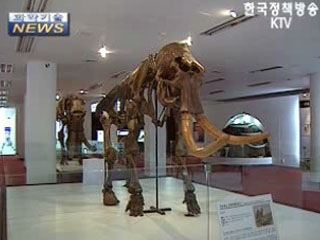 한국에 온 '러시아 자연사박물관' 