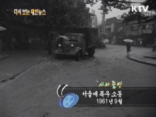 서울에 폭우 소동(61')  이미지