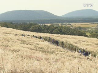 "자연 보전이 최우선"