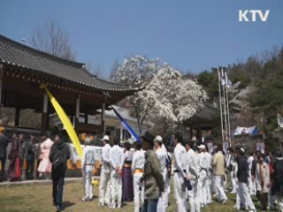 봄에 성행한 조선시대 활쏘기 [시니어 리포트]