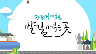 자전거 기행 발길 머무는 곳