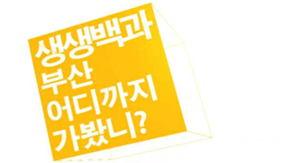 생생백과 부산 어디까지 가봤니