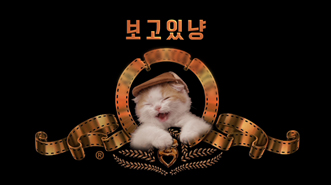 보고있냥