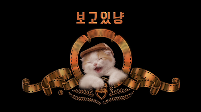 보고있냥