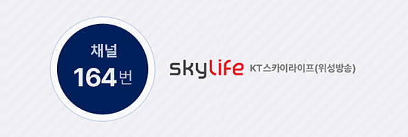 SkyLife HD/KT스카이라이프(위성방송)은 채널 164번입니다